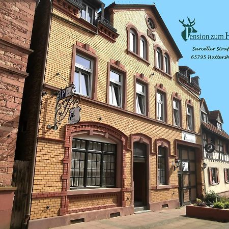 Hotel-Pension Zum Hirsch Hattersheim am Main Exteriér fotografie